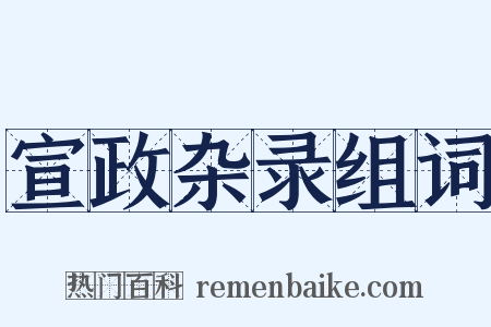宣政杂录组词是什么意思的图片
